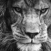 Marcus Howard's photo