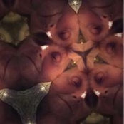 Jackie Hallinan's photo