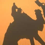 Davor Milohnic's photo