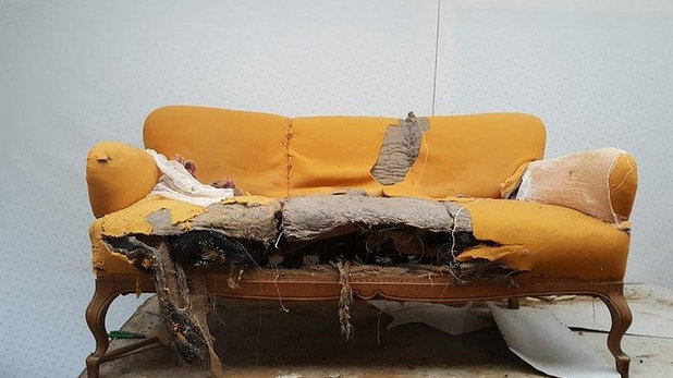 Klassisch  Restauration einer Chippendale-Couch