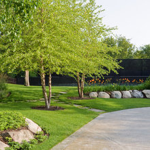 Landscape Ideas