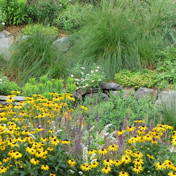 Steep Meadowy Front Slope