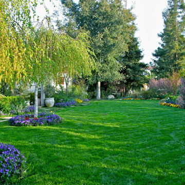 Livermore Vineyards