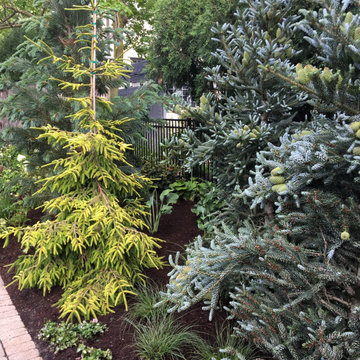 Upscale Landscape Renewal and Remake