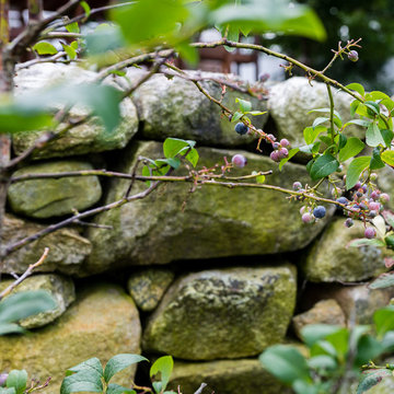 Terraced Garden