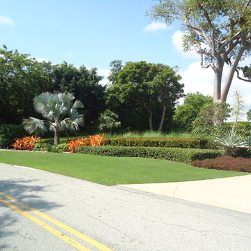Tropical Landscape Design Ideas