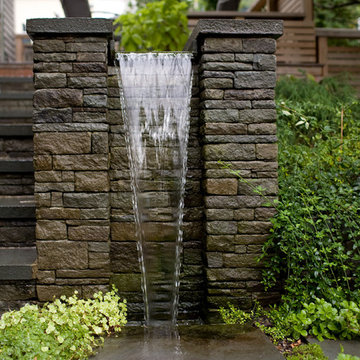 Urban Sanctuary