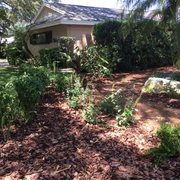 Stewart blvd clearwater