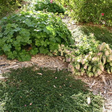 Garden Management