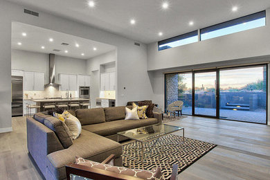 Living room - contemporary living room idea in Phoenix