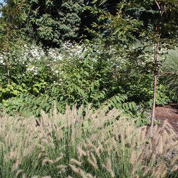Grasses and Movement