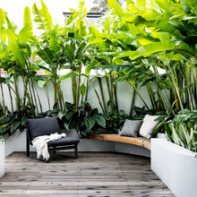 outdoor soft scaping