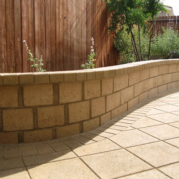 Drought Tolerant Back Yard Garden