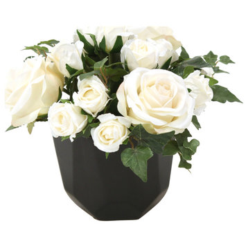 White Rose Buds in Black Benito Pot