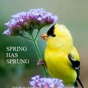 Mary Lou Flood's photo