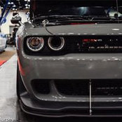 andrew lowe's photo