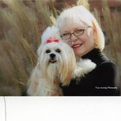 Nina Holbrook's photo