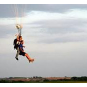 Troy Gibson's photo