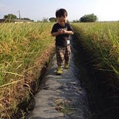 Ko-Fen Chenさんの写真