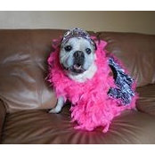 Lynn VanAlstyne's photo