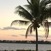 Brad Mendelson's photo