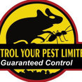 Control your pest ltd's profile photo