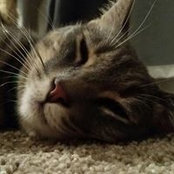 Jena Duca's photo