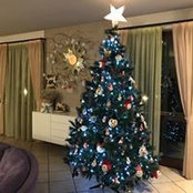 Foto von Luisa Berzi