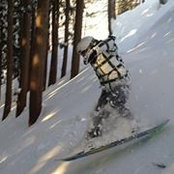 Tim Arnoldさんの写真