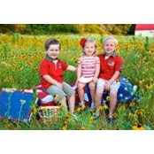Susan Bohn's photo