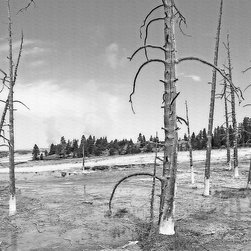 Yellowstone - Stark Landscape - Artwork