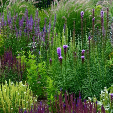 Fine gardening
