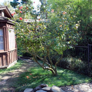 Side Yard Landscaping | Santa Monica CA | Project Centinela