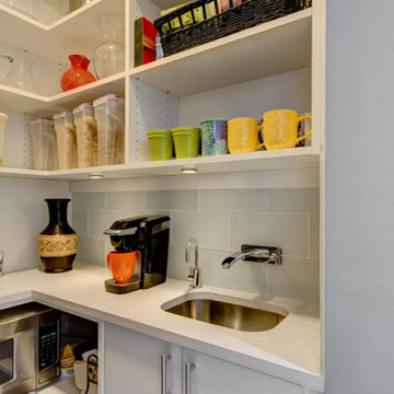 Contemporary kitchen cabinets