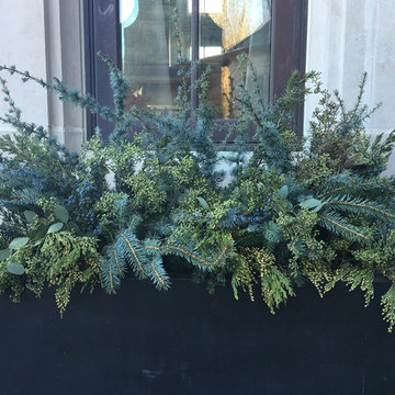 2015 Holiday Containers