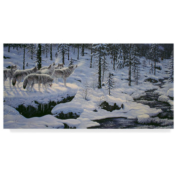 Jeff Tift 'Winters Cry' Canvas Art, 32"x16"
