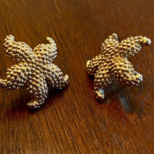 Melissa Mills Estate Sale