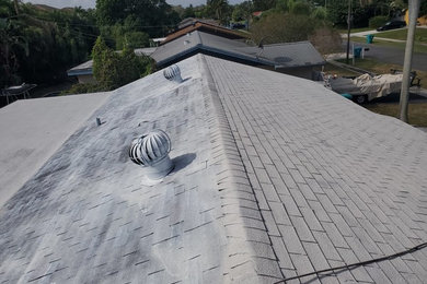 Roof Painting / Pressure Washing