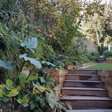 Le jardin aux camélias