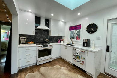 Kitchen - contemporary kitchen idea in San Francisco