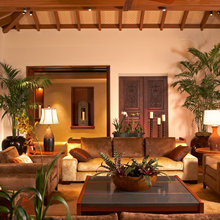 Living Room Ideas