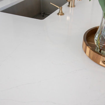 Highlands Ranch Sleek Transitional Kitchen