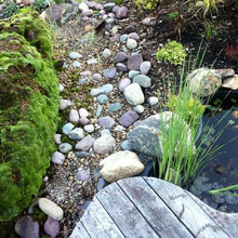 pond