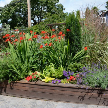 Raised Vegetable Bed / Ornamental Garden 2016