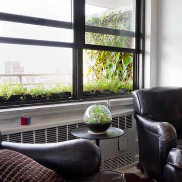 Lower Eastside Apartment