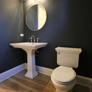 75 Most Popular Powder Room With A Pedestal Sink Design