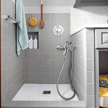 dog bath station