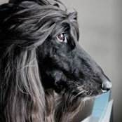 Barbara Silverstone's photo
