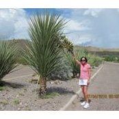 Leslie Seiler's photo