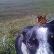 Greg Cordeiro's photo